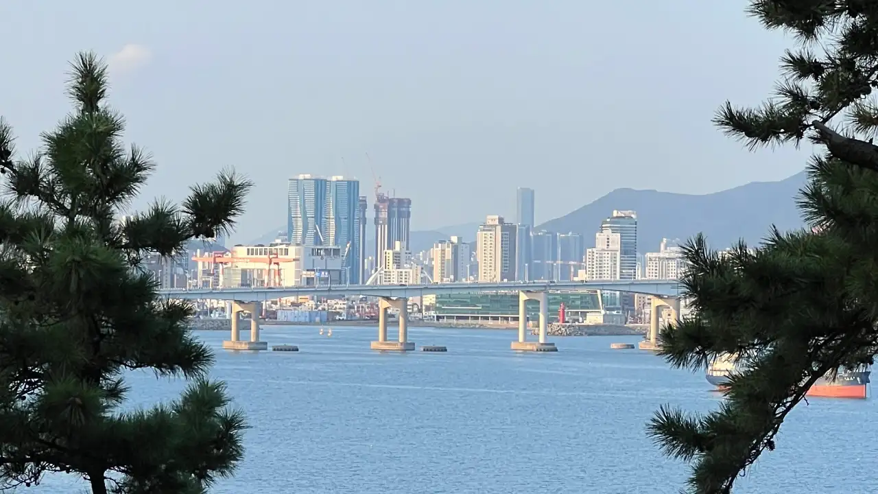 Busan city view